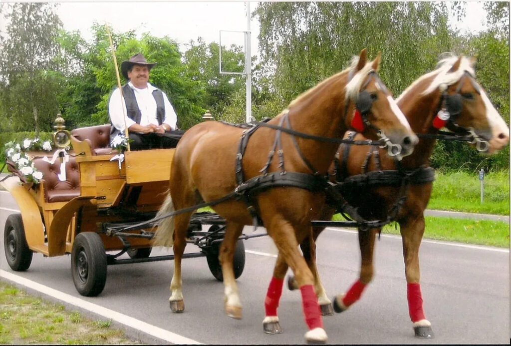 Ponnyhof und Kremserfahrten in Bellin