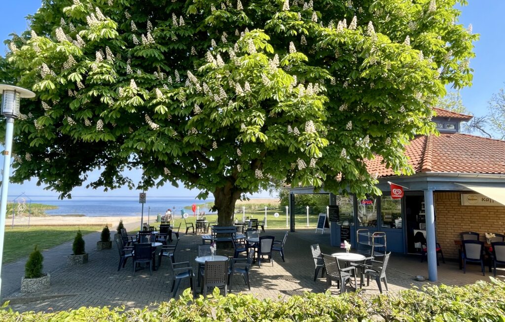 Becker´s Biergarten in Bellin